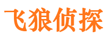 大冶飞狼私家侦探公司